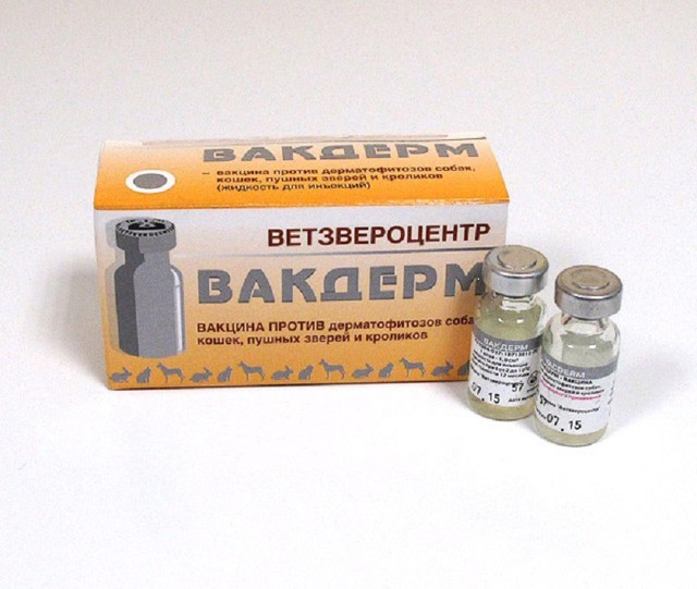 Вакдерм – назначение, инструкция, противопоказания, отзывы