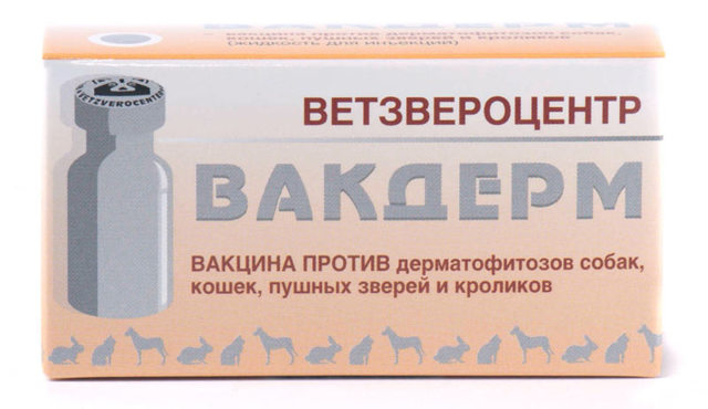 Вакдерм – назначение, инструкция, противопоказания, отзывы