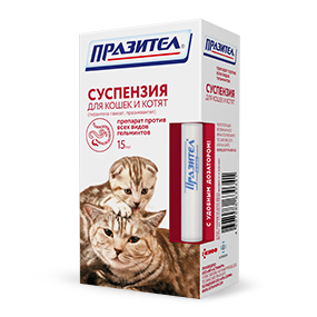 Запор у кошки - причины, симптомы, лечение, профилактика