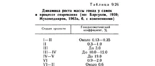Зубатки – фото, описание, ареал, рацион, враги, популяция