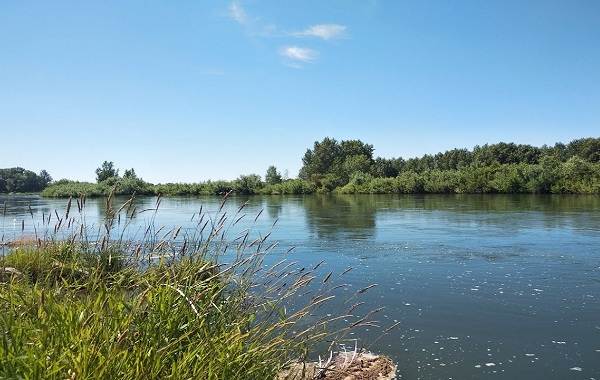 12-лучших-рыболовных-мест-в-Тюменской-области-5