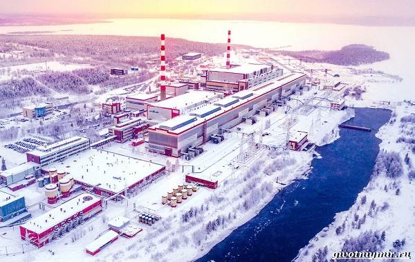 Экологические-проблемы-Арктики-и-пути-их-решения-13