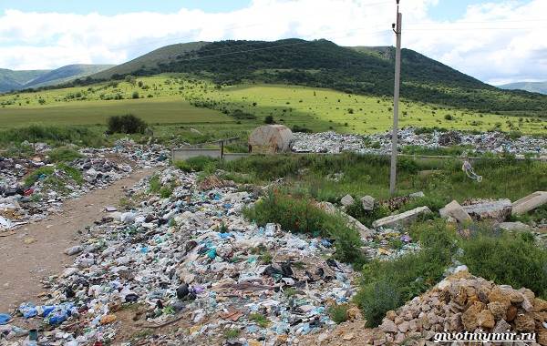 Экологические-проблемы-Крыма-и-пути-их-решения-7