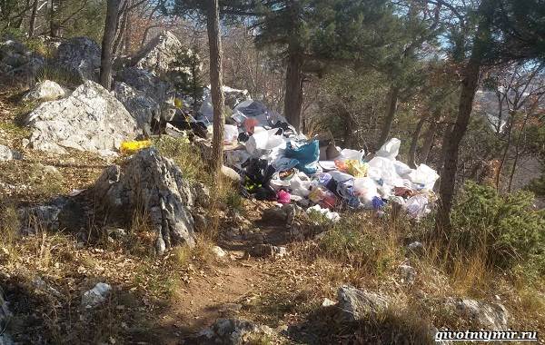 Экологические-проблемы-Крыма-и-пути-их-решения-8