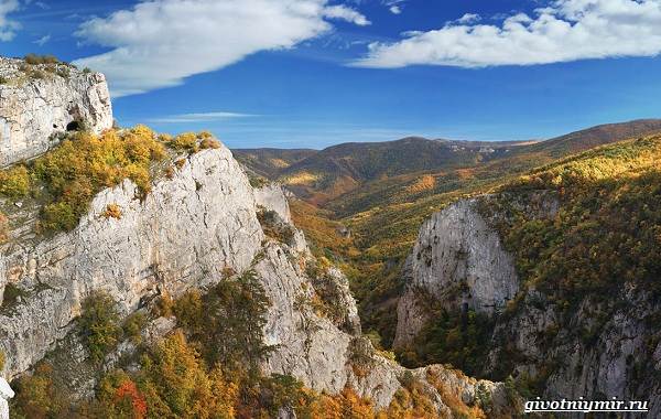 Экологические-проблемы-Крыма-и-пути-их-решения-1
