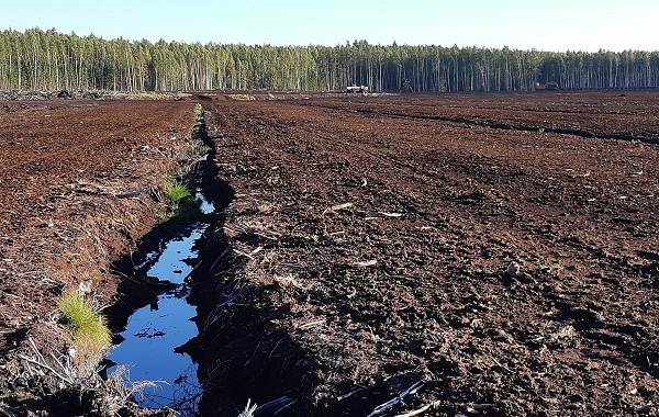 Экологические-проблемы-Москвы-Московской-области-и-пути-их-решения-17