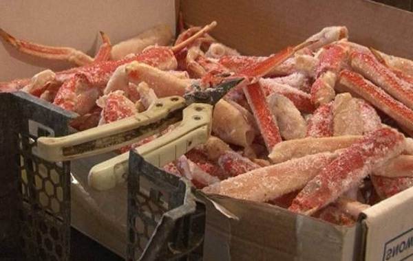 Ловля-камчатского-краба-7