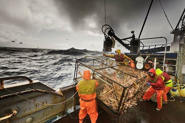 Ловля-камчатского-краба