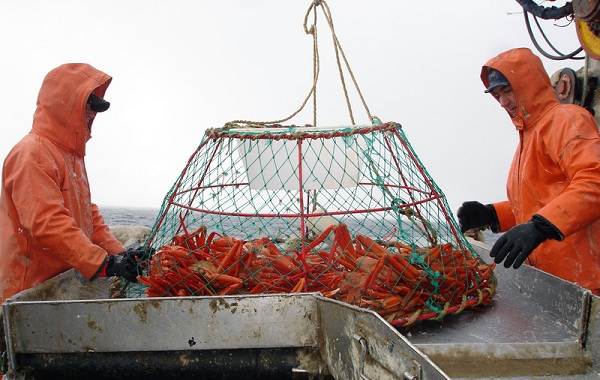 Ловля-камчатского-краба-5