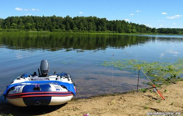 Рыбалка-на-Волге-её-особенности-плюсы-и-минусы-13