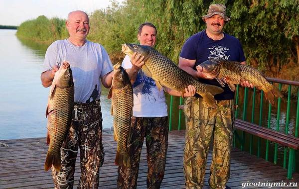 Рыбалка-на-Волге-её-особенности-плюсы-и-минусы-4